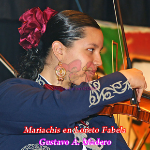 Mariachis en Loreto Fabela